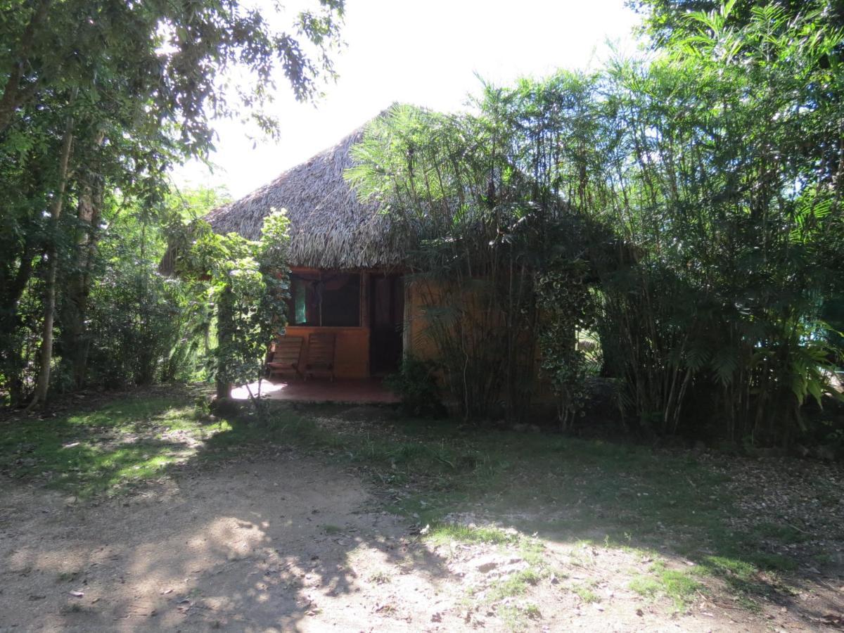 Cabanas Calakmul Conhuas Eksteriør billede