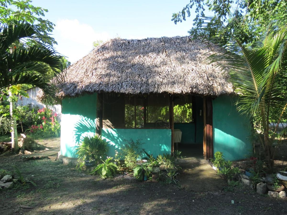 Cabanas Calakmul Conhuas Eksteriør billede