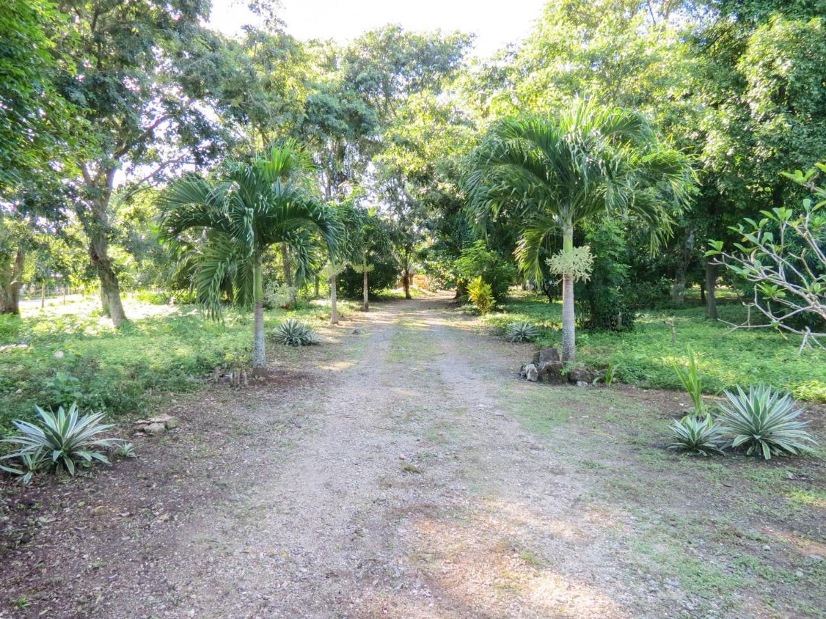 Cabanas Calakmul Conhuas Eksteriør billede