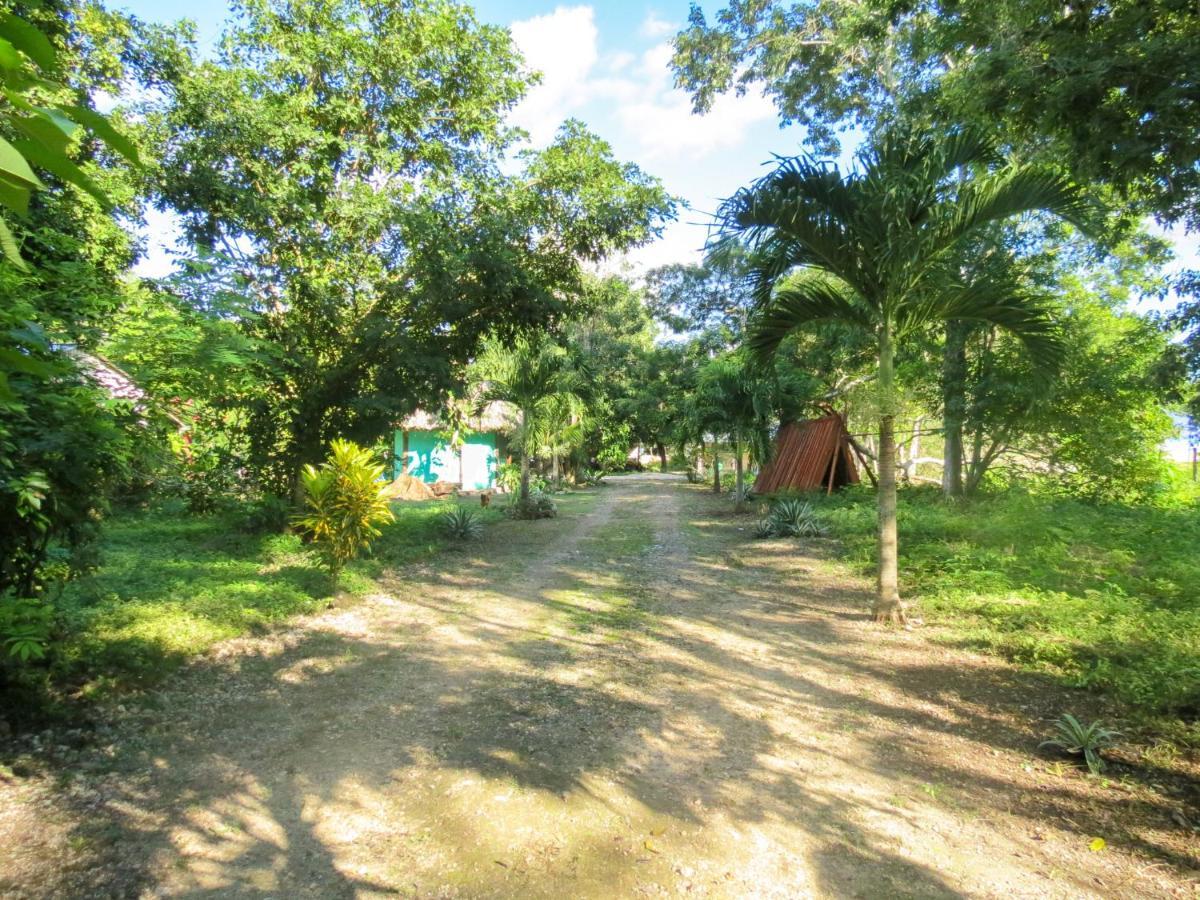 Cabanas Calakmul Conhuas Eksteriør billede
