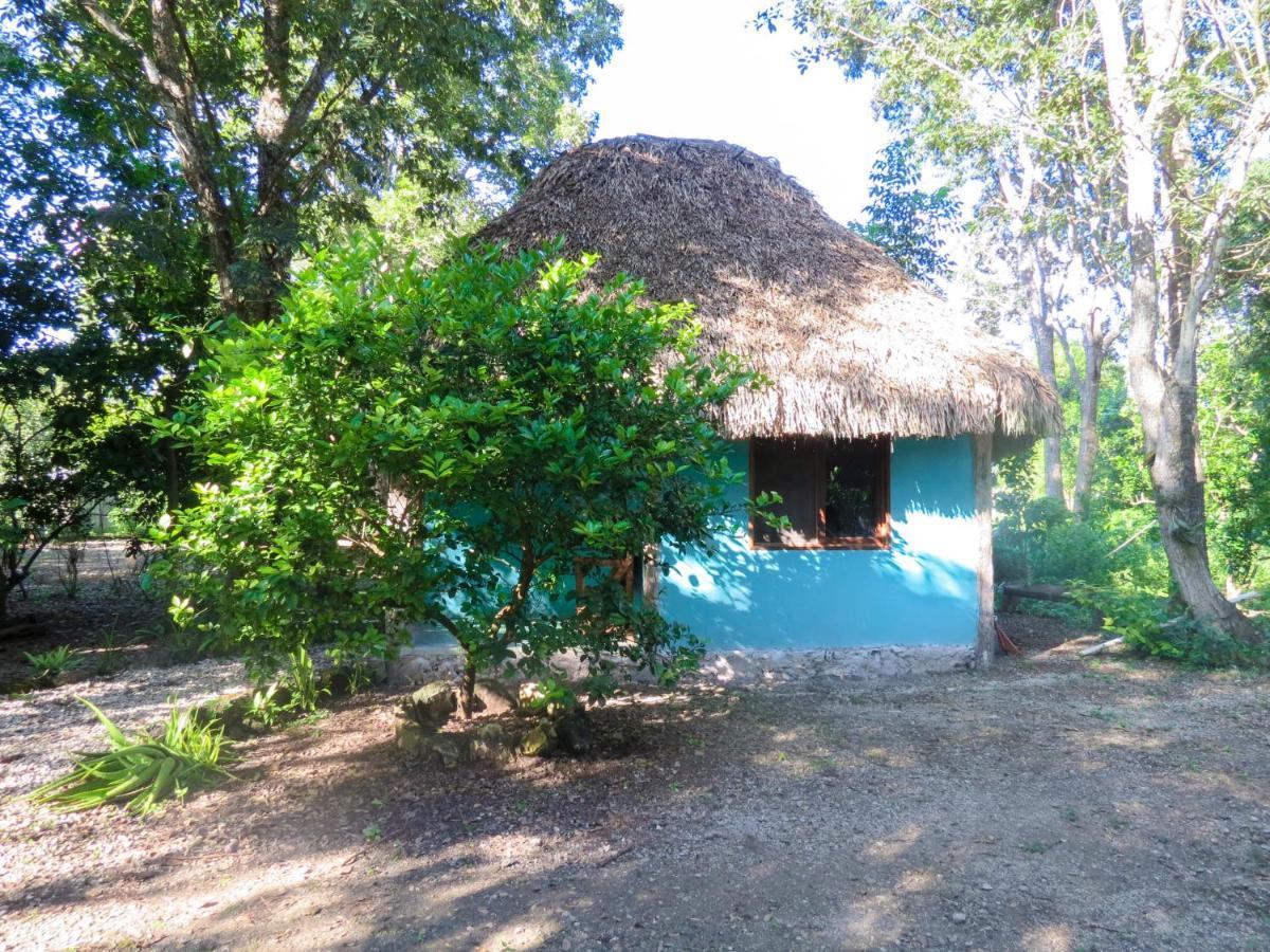 Cabanas Calakmul Conhuas Eksteriør billede